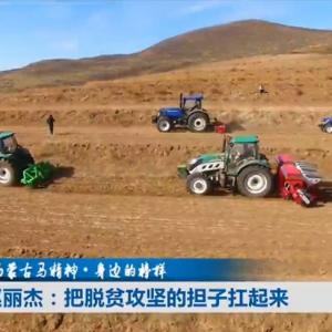 The chairman of a cooperative and her Lovol Corps embarked on a new road of poverty alleviation