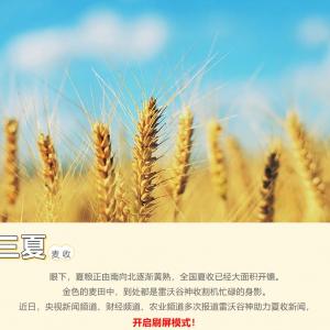 Lovol Valley God attracts CCTV's continuous attention Lovol Valley God attracts CCTV's continuous attention