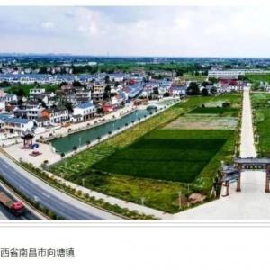 From 804 to 1404 Tractor , YTO has made his waist more and more bulging