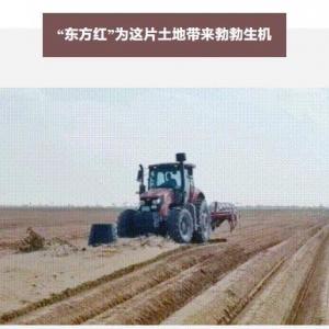 Luxury convoys walking in the desert want to turn the desert into fertile land