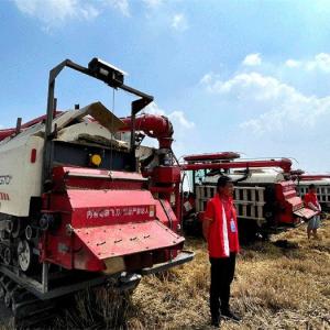 Weichai Lovol Smart Agriculture Promotes Grain Return to Warehouse through Machine Harvest and Loss Reduction