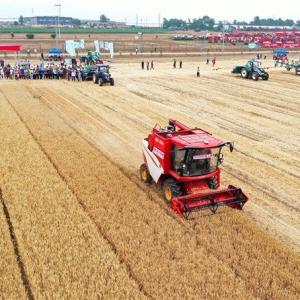 Weichai Lewo Unmanned Farm