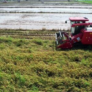 Weichai Lovol Defends Daoxiang China with Technology Weichai Lovol Defends Daoxiang China with Technology
