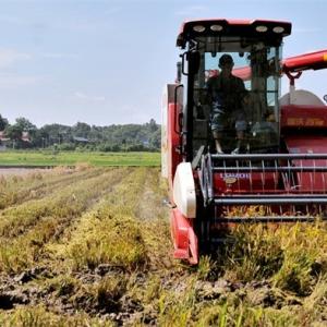 Explore the Lovol Valley God Diamond II Harvester Explore the Lovol Valley God Diamond II Harvester