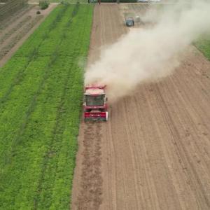 The Zhonglian Peanut Harvesting and Harvesting Machine Restores the Confidence of Agricultural Mechanists The Zhonglian Peanut Harvesting and Harvesting Machine Restores the Confidence of Agricultural Mechanists