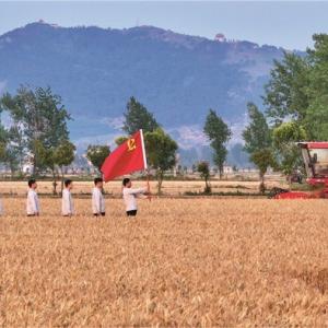 Escort the countrys food security Weichai Lovol extends its strength to the fields