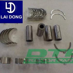 Repair Kit Laidong 4L22t Diesel Engine Parts Rebuilt Kit
