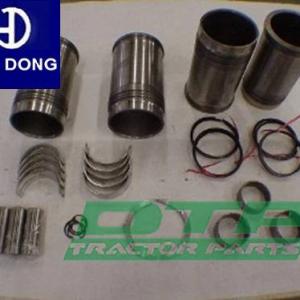Repair Kit Laidong 4L22te Diesel Engine Parts Rebuilt Kit