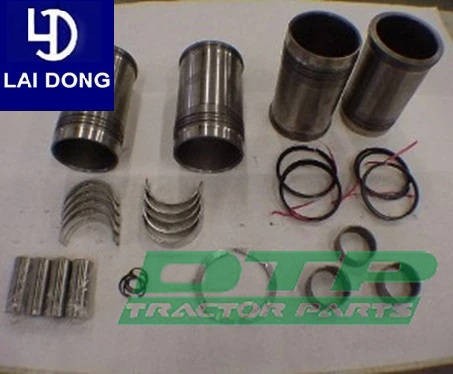 Repair Kit Laidong 4L22te Diesel Engine Parts Rebuilt Kit