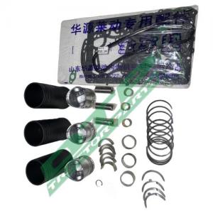 Repair Kit Laidong Km385 LL380 Diesel Engine Parts Rebuilt Kit
