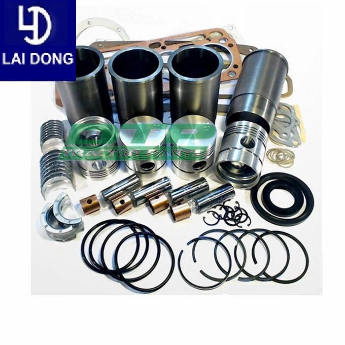 Repair Kit Laidong Ll480 Diesel Engine Parts Rebuilt Kit