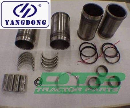 Yangdong Y380 Engine Parts Rebuilt Kit