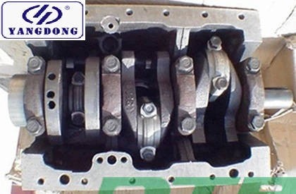 Yangdong Y385 Engine Parts Short Block