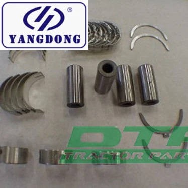 Yangdong Y385t Diesel Engine Parts Rebuilt Kit