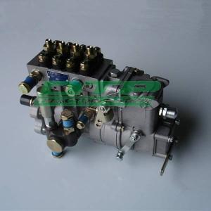 Yangdong Y480 fuel injection pump for jinma tractor